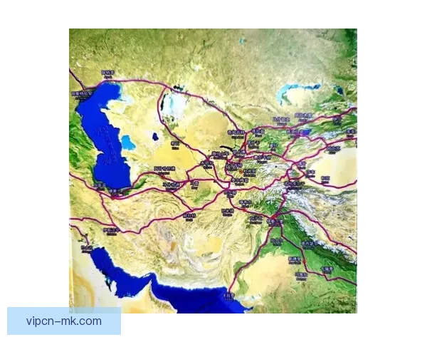 帕迪拉引领新时代的崛起与影响力全景解析之路发展趋势与全球视野